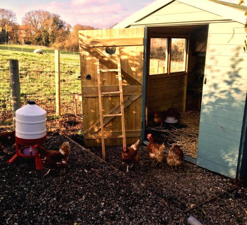 The Summerhouse, Countryside Retreat With Private Hot Tub Bridgnorth Eksteriør bilde